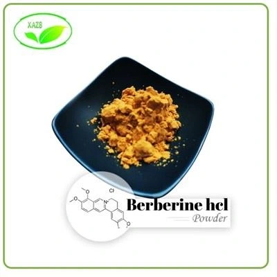 Berberine Powder